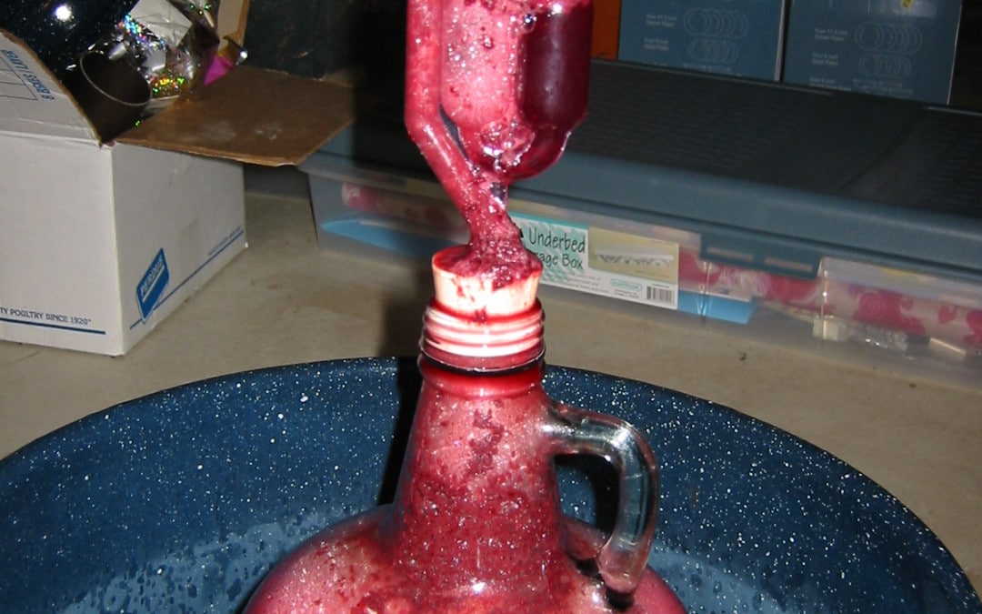 The NewBee Guide to Making Mead – Chapter 19: Troubleshooting and Common Questions