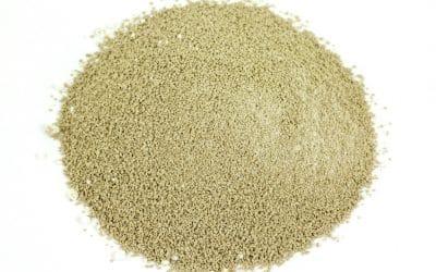 The NewBee Guide to Making Mead – Chapter 9:  Yeast