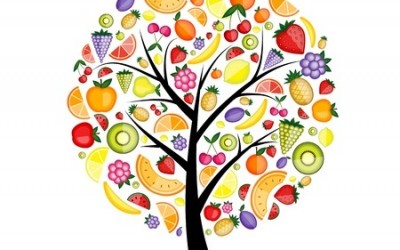 6-14-16 Back to Basics – Fruit!!