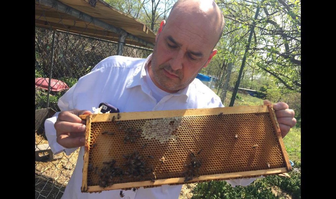11-29-16 Bob Slanz – NY Beekeeper and Meadmaker – BtB – keeping bees-making mead