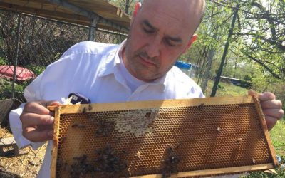 11-29-16 Bob Slanz – NY Beekeeper and Meadmaker – BtB – keeping bees-making mead