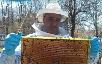 6-20-17 Bob Slanz – New York Beekeeper and Meadmaker of Awesome Seaweed Mead