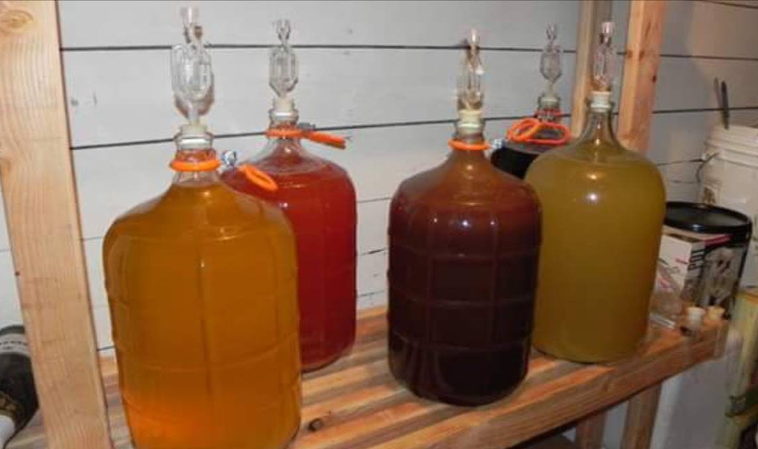 9-12-17 Ryan Carlson -Making Modern Mead – Yeast and How to Keep it Happy