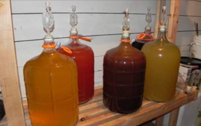 9-12-17 Ryan Carlson -Making Modern Mead – Yeast and How to Keep it Happy