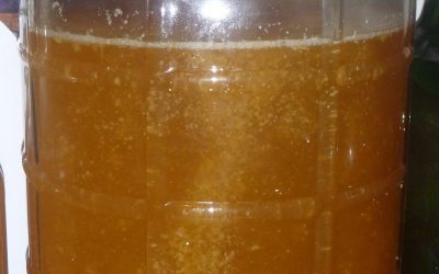 9-26-17 Ryan and Tom Repas – Moder Mead Making – Sulfiting and Sorbating