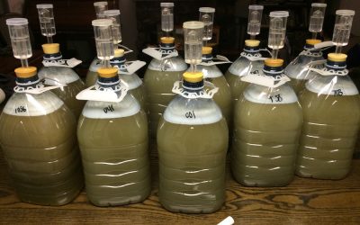 4-3-18 Stephen Snudden – Peer reviewed mead experiments