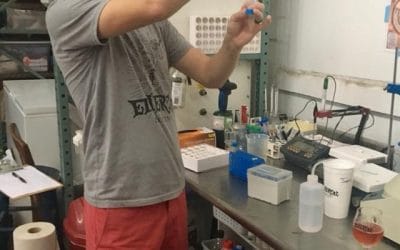 7-24-18 Justin LeVaughn – Mead Analysis at Ethereal Brewing