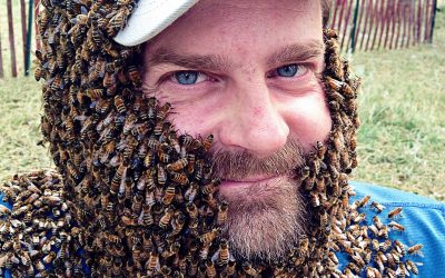 1-22-19 Tom Repas – Acids in Mead, Mead Flaws and Faults, and Carbonation