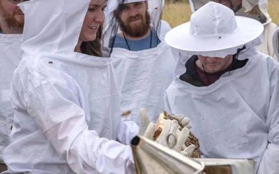 9-14-21 National Honey Month with Alison Conklin – National Honey Board