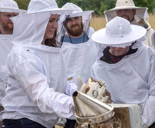 9-14-21 National Honey Month with Alison Conklin – National Honey Board