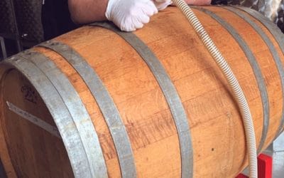 7-27-2021 Danique Staal- De Noordelijke Mederij, Netherlands