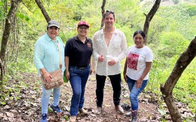 7-18-23 Brian Woerner – World Honey Exchange