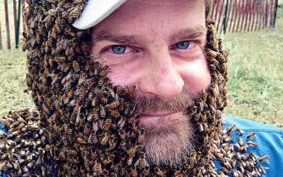 7-15-25 Tom Repas – On Bees, Honey and Mead (and Going Pro)