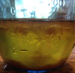 Ancient Mead Making Meets Modern Science Part 2: Isolating a Pure Yeast from a Wild Honey Culture (Honey Bug)