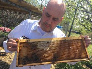 Bob Slantz works with his bees