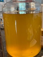IMG_5314.jpeg