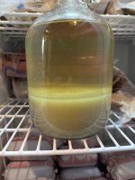 IMG_2398.jpeg