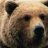 CO_Griz