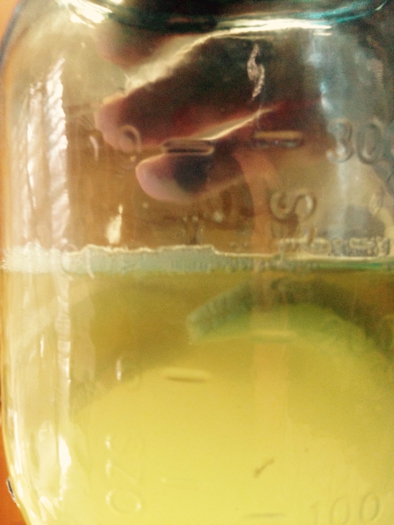 4a6ddc5e5b0200ba7f9b6f633c605396.jpg