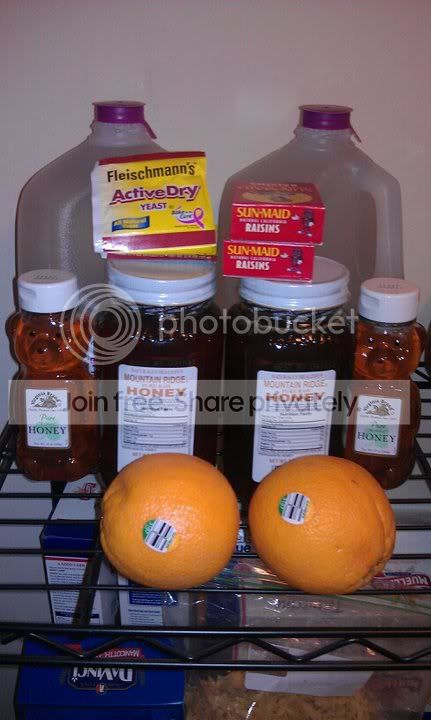 startermeadkit.jpg