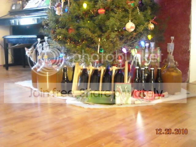 christmasmead005.jpg