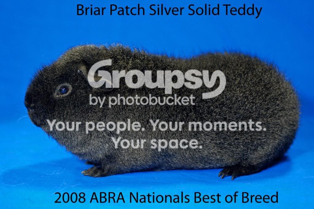 103108BriarPatchSiverLogo.jpg