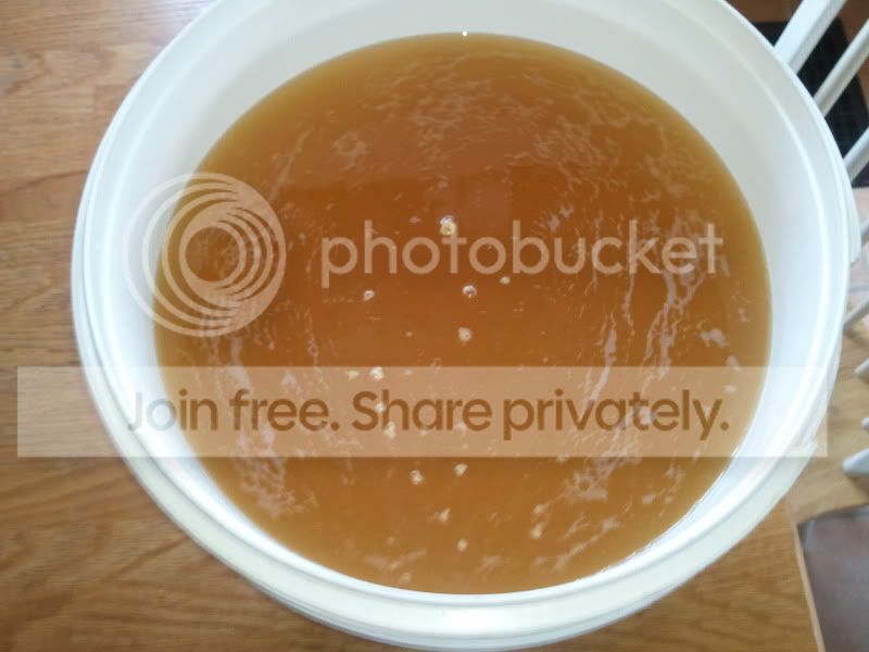 2012-02-18154017.jpg
