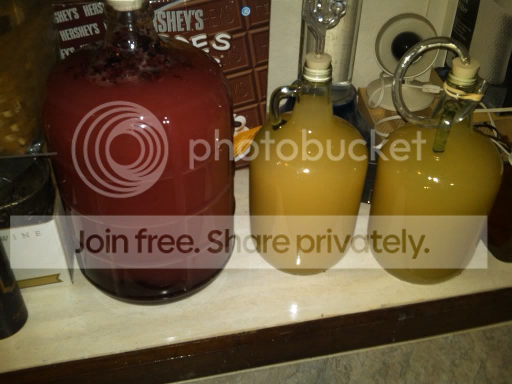 IMG00035-20110116-1327.jpg