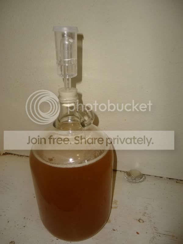 MyMead.jpg