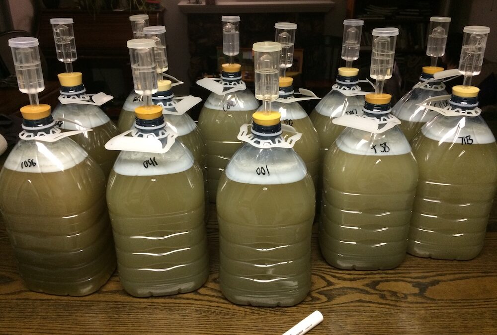 4-3-18 Stephen Snudden – Peer reviewed mead experiments