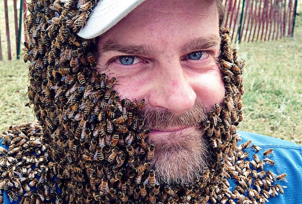 11-21-23 Bees, Honey and Going Pro with Tom Repas